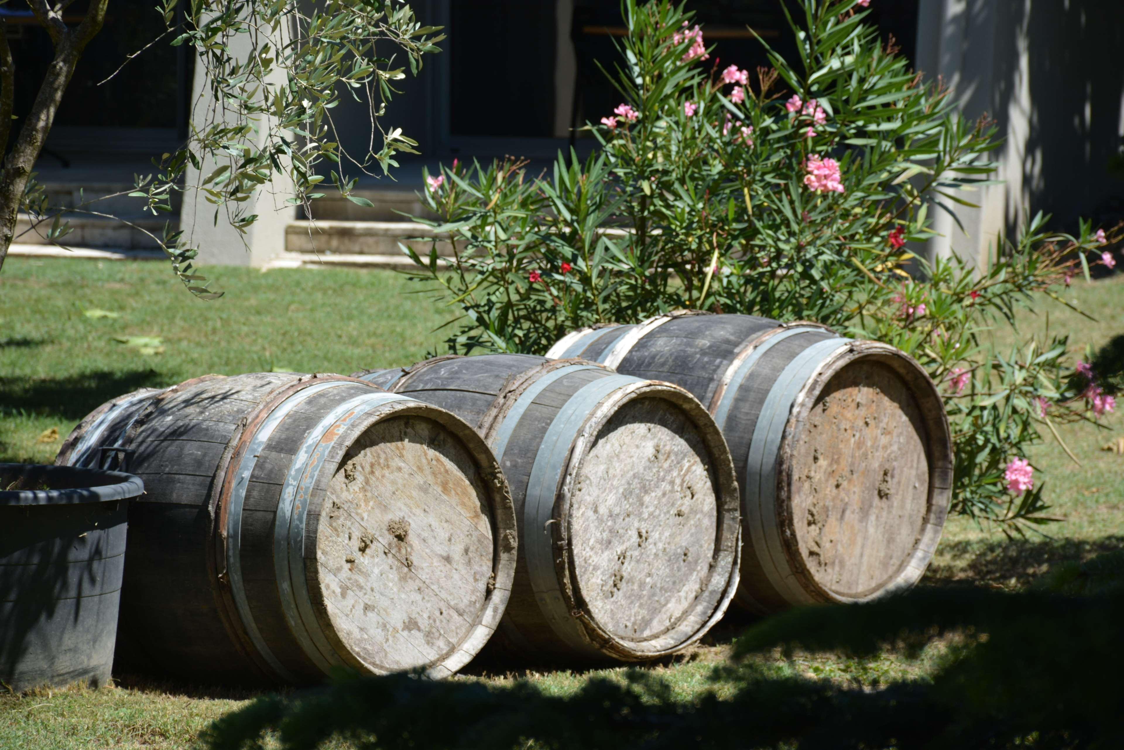 Best Western Plus Clos Syrah Valence  Luaran gambar